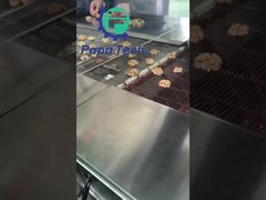 चॉकलेट लेपित अखरोट