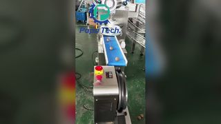 दलिया प्रोटीन बॉल उत्पादन लाइन