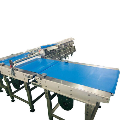 अच्छी कीमत Automatic Food Flow Wrapping Machine and Sorting Line ऑनलाइन